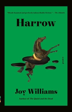 Harrow - A Novel