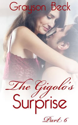 The Gigolo's Surprise - The Adventures of a Young Male Prostitute, #6