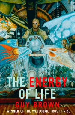 The Energy of Life - (Text Only)