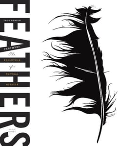 Feathers - The Evolution of a Natural Miracle