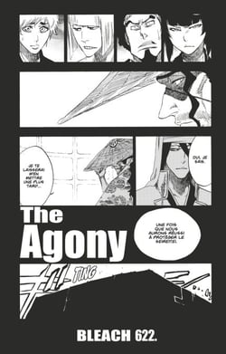Bleach - T68 - Chapitre 622 - THE AGONY