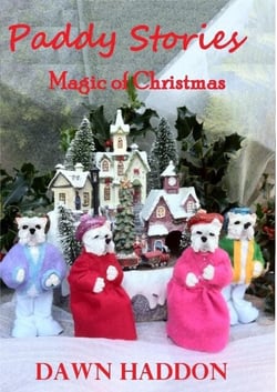 Paddy Stories - Magic of Christmas