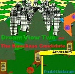 Dream View Two -- The Kamikaze Candidate