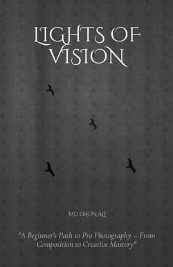 Lights Of Vision