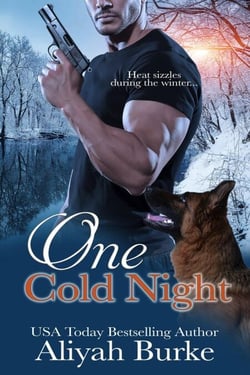 One Cold Night - Prince Brothers, #1