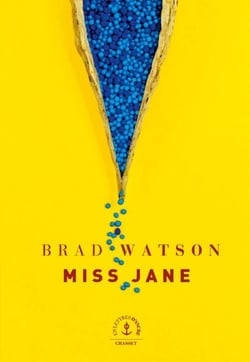 Miss Jane - roman traduit de l'anglais (Etats-Unis) par Marc Amfreville