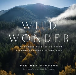 Wild Wonder - What Nature Teaches Us About Slowing Down and Living Well