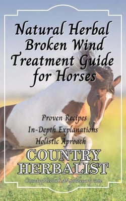Natural Herbal Broken Wind Treatment Guide for Horses - Herbal Horse Remedies