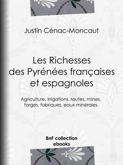 Les Richesses des Pyrénées françaises et espagnoles - Ce qu'elles furent, ce qu'elles sont, ce qu'elles peuvent être - Agriculture, irrigations, routes, mines, forges, fabriques, eaux minérales