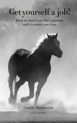 Get yourself a job - How to find your lifes passion and a career you love