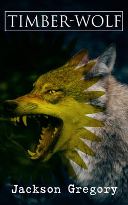 Timber-Wolf - Western Novel