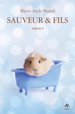 Sauveur & Fils : Saison 1