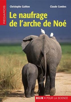 Le naufrage de l'arche de noé