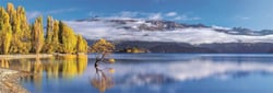 Puzzle panoramique 1000 pièces - Wanaka Golden - Ravensburger