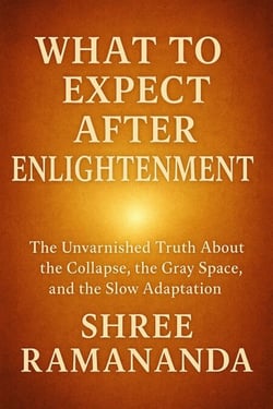 What to Expect After Enlightenment: The Unvarnished Truth About the Collapse, the Gray Space, and the Slow Adaptation