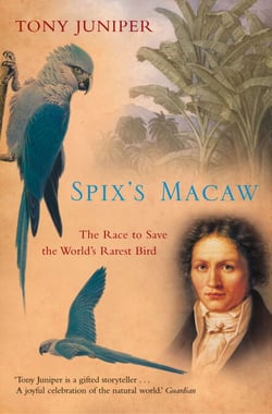 Spix’s Macaw - The Race to Save the World’s Rarest Bird (Text Only)