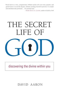 The Secret Life of God - Discovering the Divine within You