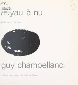 Noyau à nu - Poèmes critiques