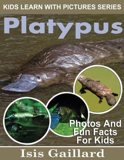 Platypus Photos and Fun Facts for Kids - Kids Learn With Pictures, #90