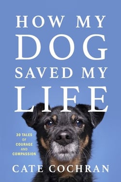 How My Dog Saved My Life - Thirty Tales of Courage and Compassion