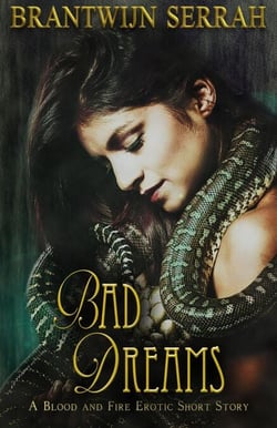 Bad Dreams - The Books of Blood and Fire