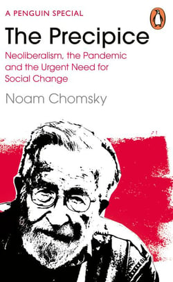 The Precipice - Neoliberalism, the Pandemic and the Urgent Need for Radical Change