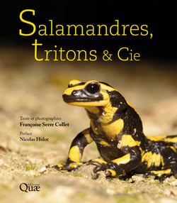 Salamandres, tritons &amp; Cie