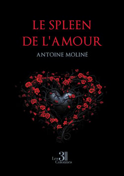 Le spleen de l'amour