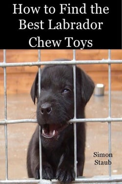 How to Find the Best Labrador Chew Toys - Dog training, #4