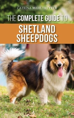 The Complete Guide to Shetland Sheepdogs: Finding, Raising, Training, Feeding, Working, and Loving Your New Sheltie