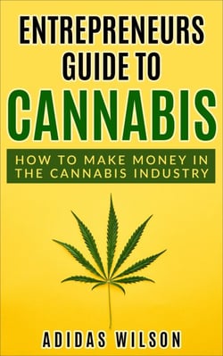 Entrepreneurs Guide To Cannabis - How To Make Money In The Cannabis Industry