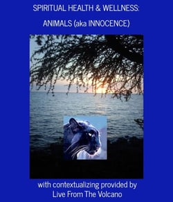 Spiritual Health &amp; Wellness: Animals (aka Innocence) - Spiritual Health &amp; Wellness, #6