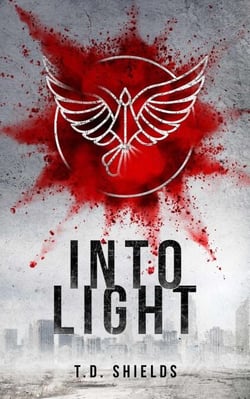 Into Light - Shadow and Light, #2