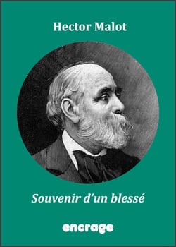 Souvenirs d'un blessé - Roman social