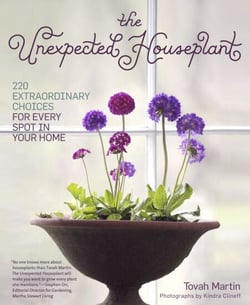 The Unexpected Houseplant - 220 Extraordinary Choices for Every Spot in Your Home
