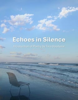 Echoes in Silence