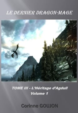 Le Dernier Dragon-Mage – Tome III - L’Héritage d’Agdull – Volume 1