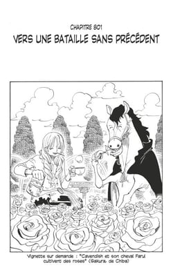 One Piece édition originale - Chapitre 801 - Vers une bataille sans précédent
