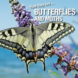How they live... Butterflies and Moths - Learn All There Is to Know About These Animals!