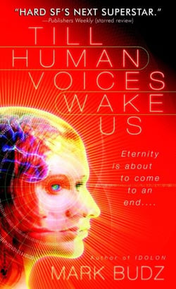Till Human Voices Wake Us - A Novel
