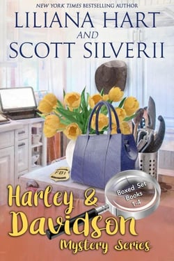 A Harley and Davidson Mystery Box Set 1 - A Harley and Davidson Mystery