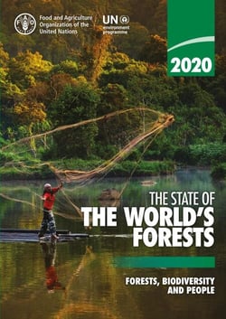 The State of the World’s Forests 2020: Forests, Biodiversity and People