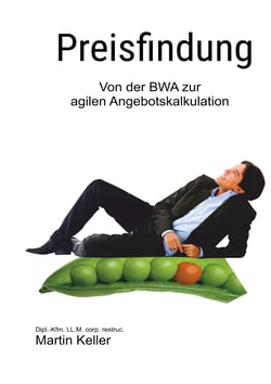 Preisfindung - nie mehr unter Wert verkaufen! - Von der BWA zur agilen Projektkalkulation