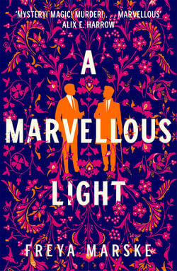 A Marvellous Light - A dazzling, queer romantic fantasy