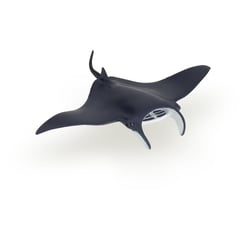 Raie manta