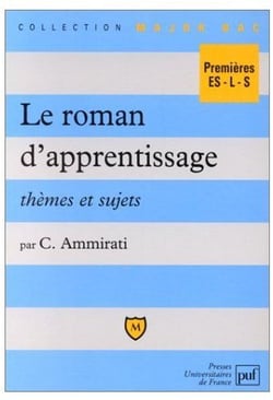 Le roman d'apprentissage, thèmes et sujets