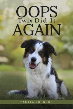 Oops, Twix Did It Again - Twix Runs Again, #2
