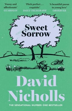 Sweet Sorrow - The Sunday Times bestselling novel of first love from the author of ONE DAY and YOU ARE HERE