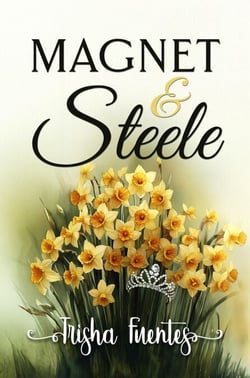 Magnet &amp; Steele