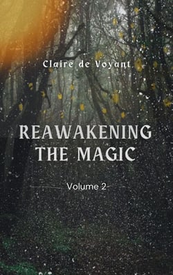 Reawakening the Magic - Volume 2 - Reawakening the Magic by Facing the Shadows, #2